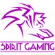 spirit logo3_20131227022236.jpg